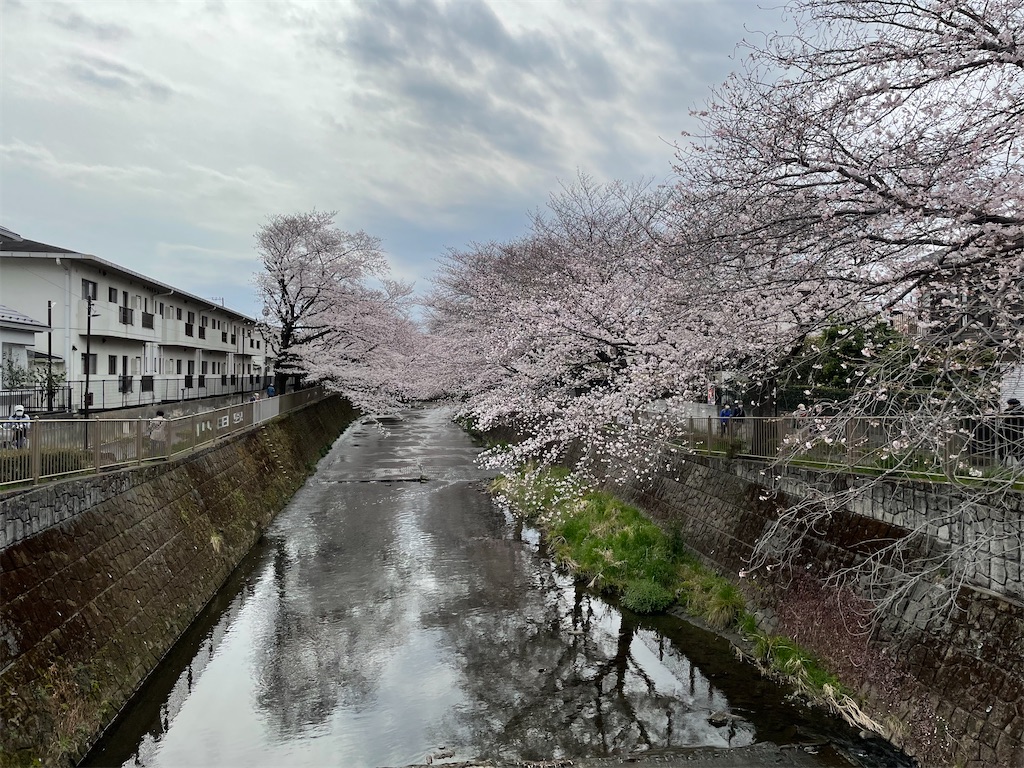f:id:kadomix:20220329105841j:image