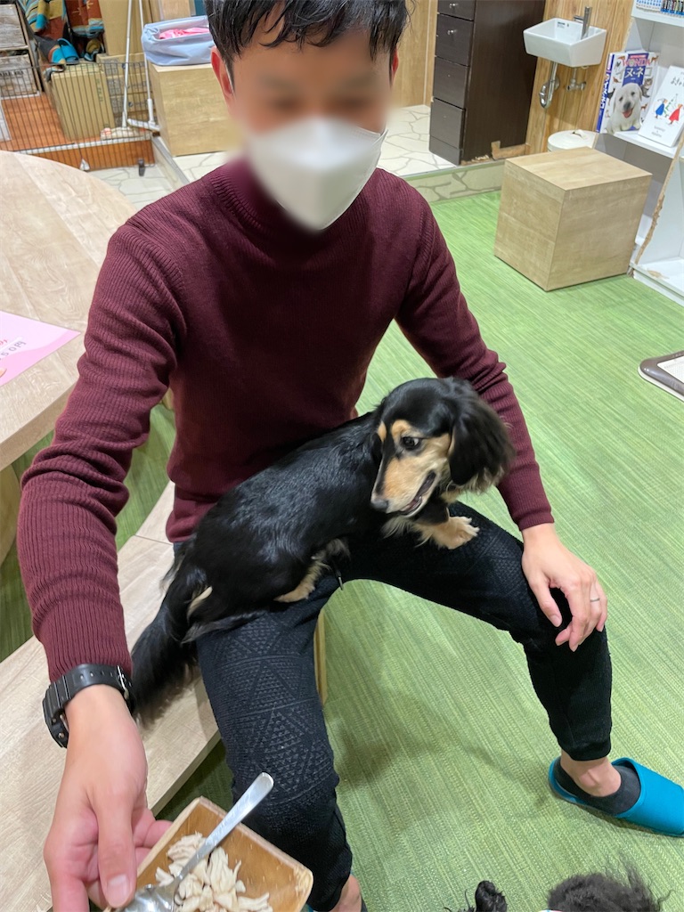 f:id:kadomix:20230116171321j:image