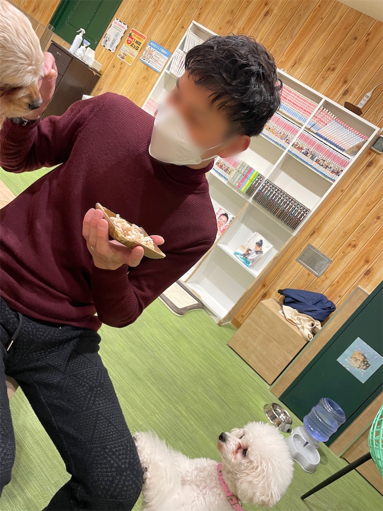 f:id:kadomix:20230116171324j:image