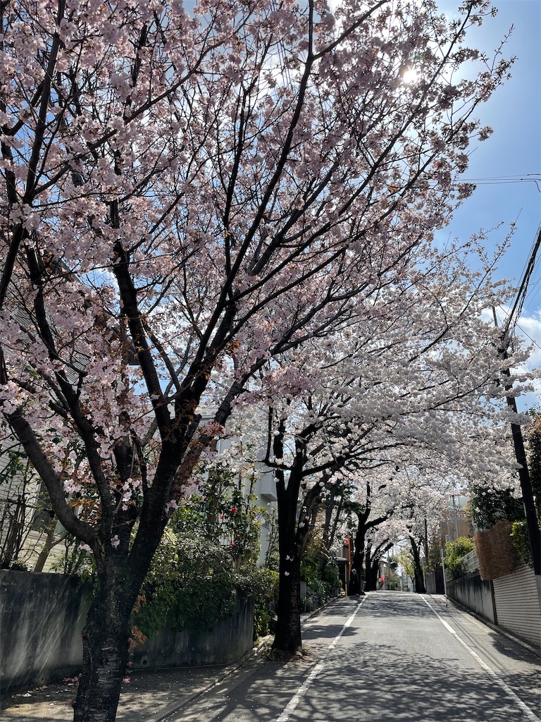 f:id:kadomix:20230324094334j:image
