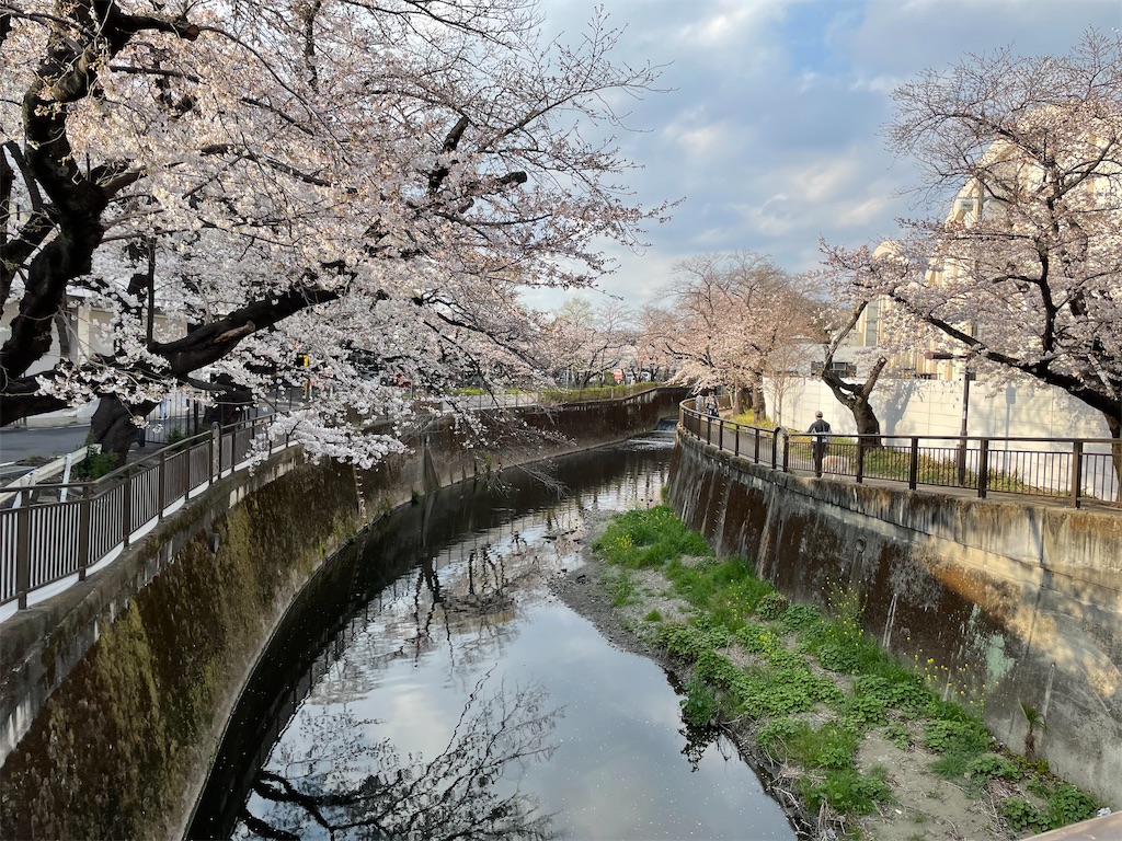 f:id:kadomix:20230324094341j:image