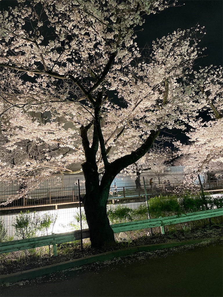 f:id:kadomix:20230328172044j:image