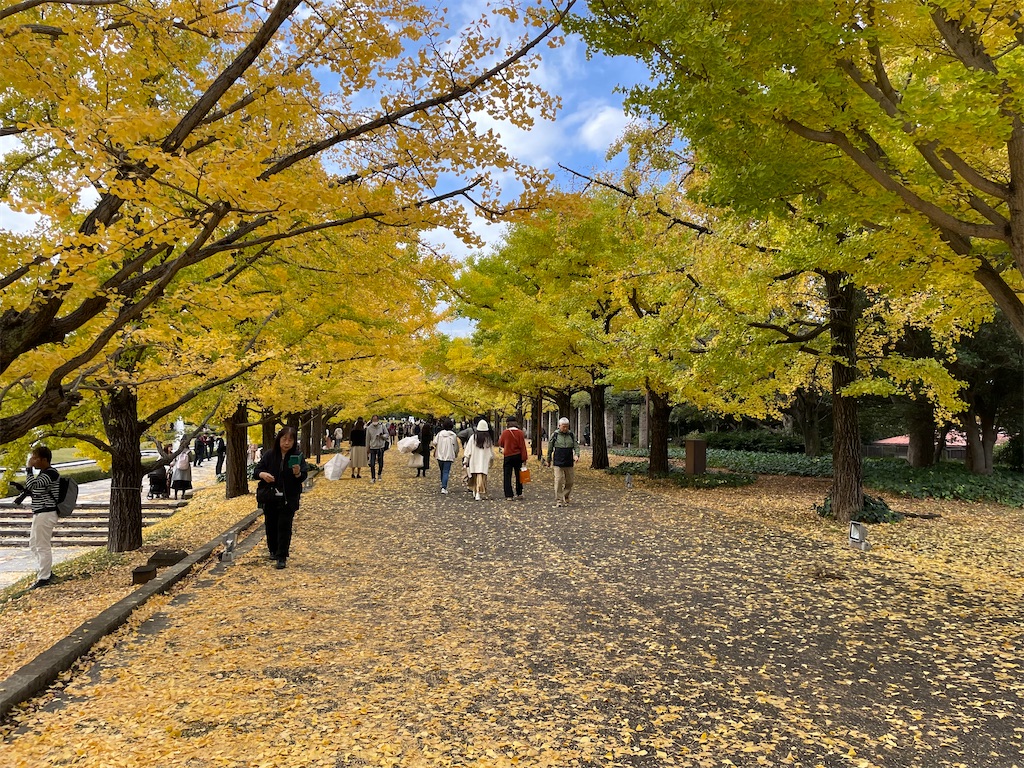 f:id:kadomix:20231121132745j:image