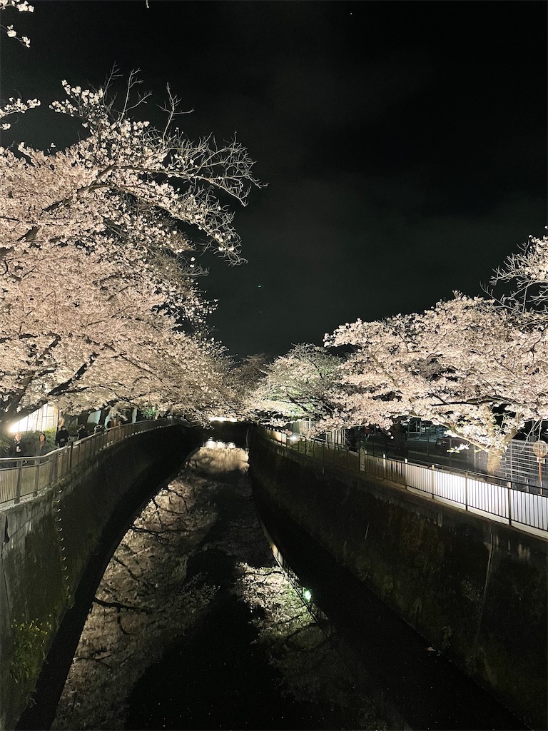 f:id:kadomix:20240328122618j:image