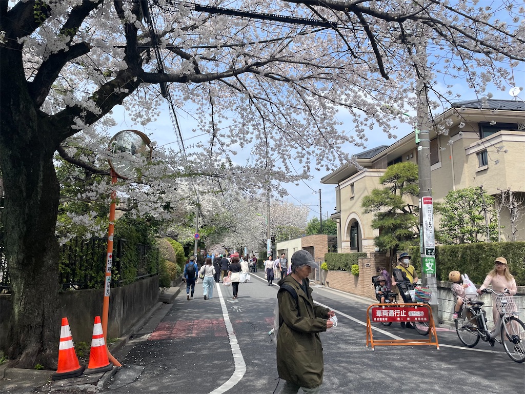 f:id:kadomix:20240409171708j:image