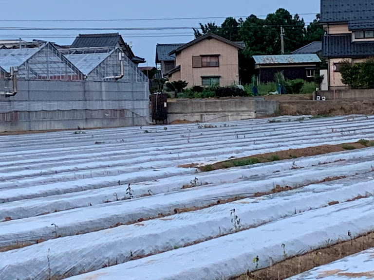 f:id:kadonoyanasan:20200928060820j:plain