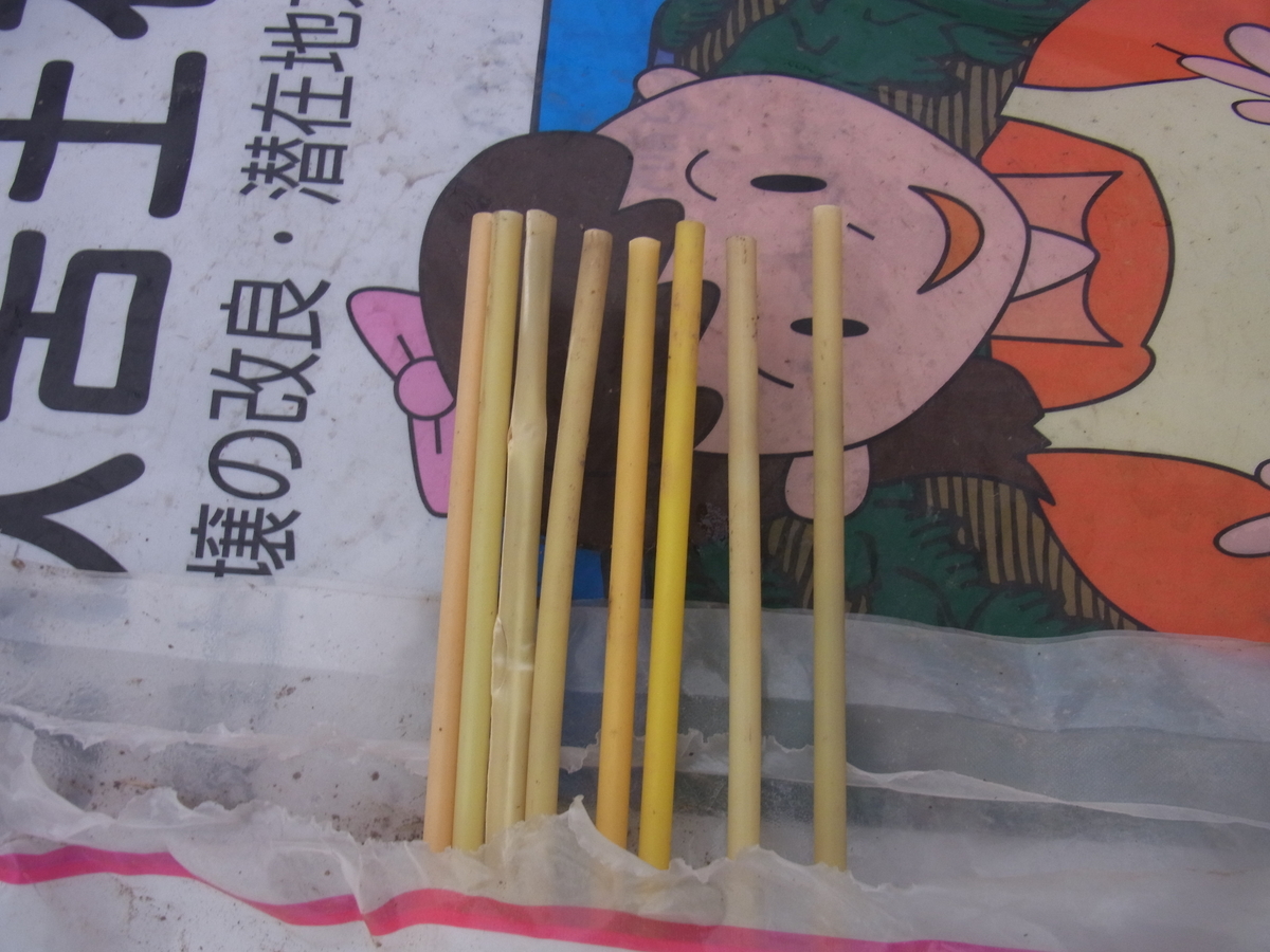 f:id:kadonoyanasan:20201008232230j:plain f:id:kadonoyanasan:20201008232230j:plain