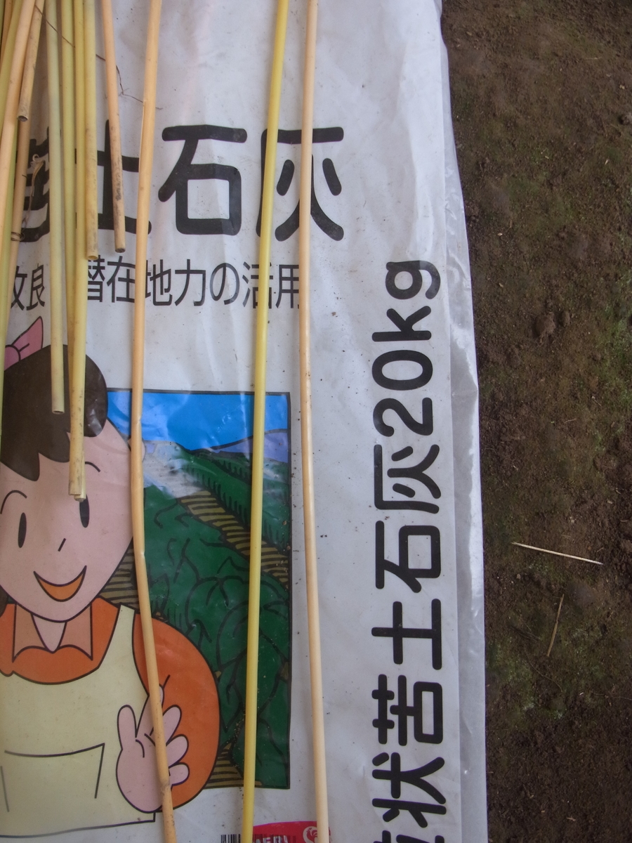 f:id:kadonoyanasan:20201008233155j:plain f:id:kadonoyanasan:20201008233155j:plain
