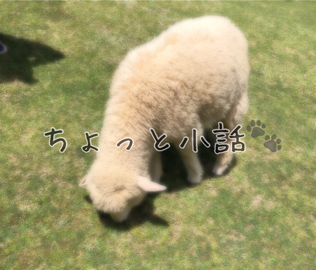 f:id:kaec0714:20190709020705j:image
