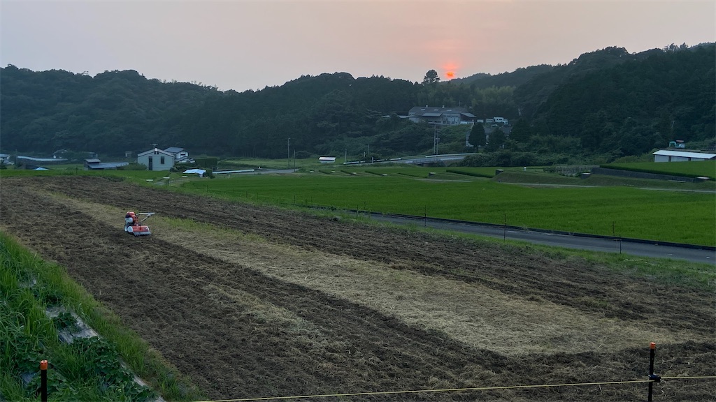 f:id:kaechin_kinu:20200812100856j:image