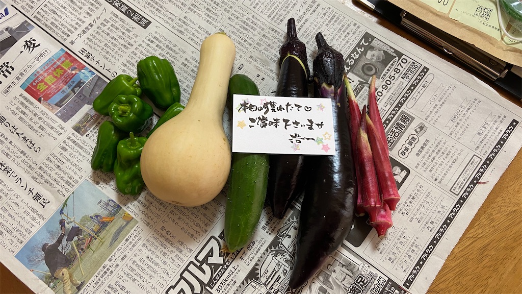 f:id:kaechin_kinu:20200824100305j:image