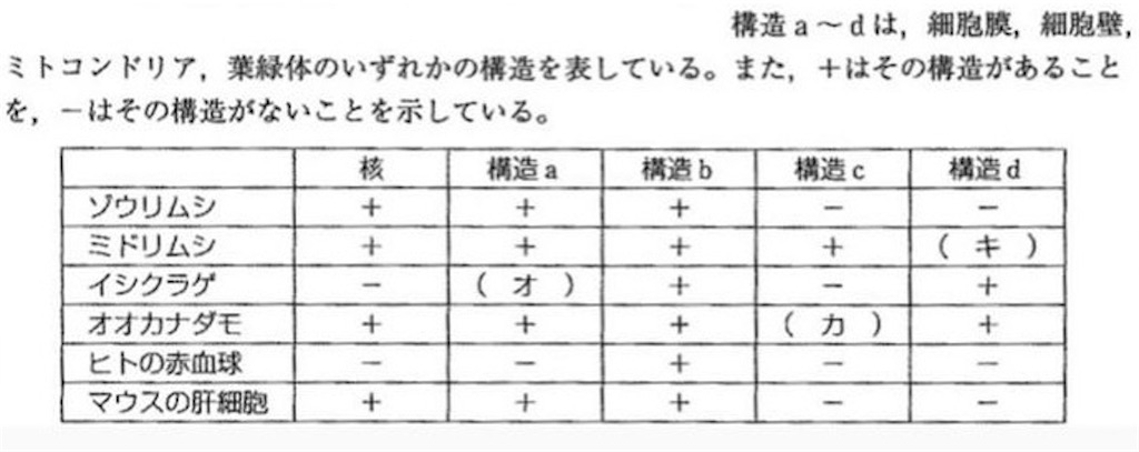 10秒でわかる 原核生物と真核生物の見分け方 かえちゃんの生物部屋 10秒でわかる 原核生物と真核生物の見分け方 かえちゃんの生物部屋
