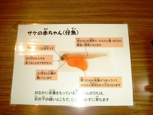 f:id:kaede18:20051215162853j:image f:id:kaede18:20051215162853j:image