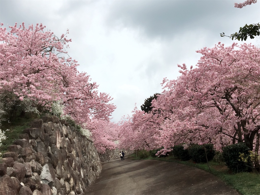 f:id:kaedeann:20190408125801j:plain f:id:kaedeann:20190408125801j:plain