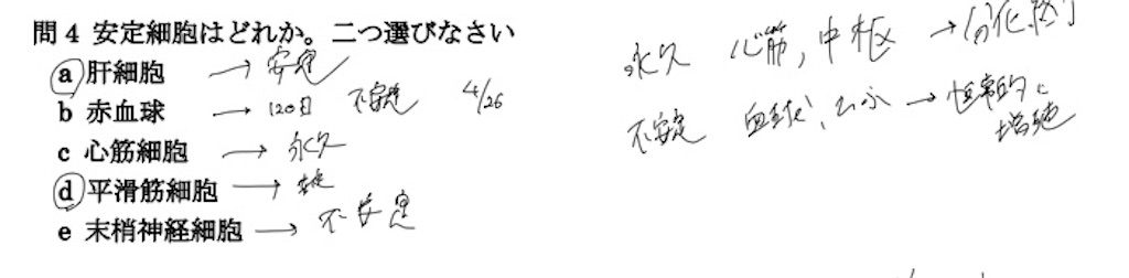 f:id:kaedeguitar:20200217235244j:image