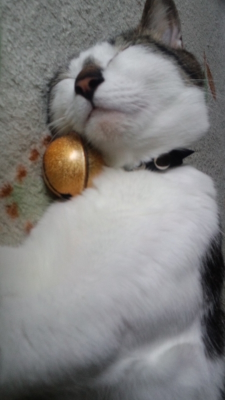 f:id:kaedesan010:20120321101229j:image