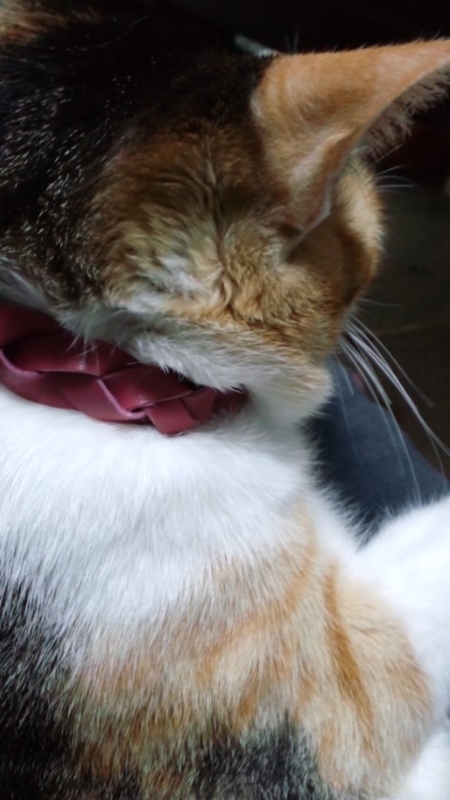 20120522225131