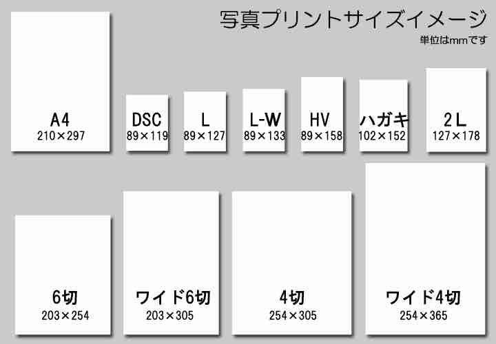 f:id:kaedetaniyoshi:20180809193625j:plain