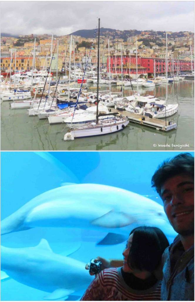 f:id:kaedetaniyoshi:20180812101416j:plain f:id:kaedetaniyoshi:20180812101416j:plain