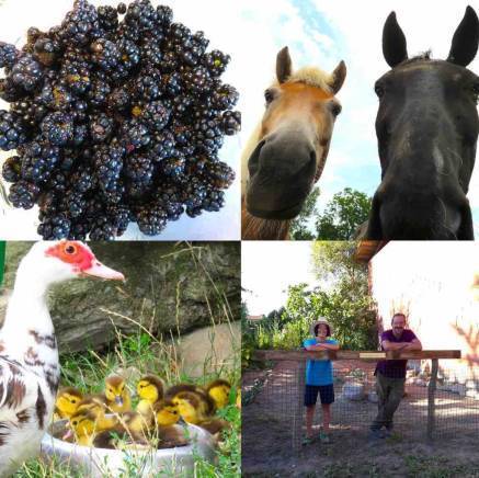 f:id:kaedetaniyoshi:20181005013047j:plain