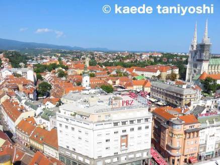 f:id:kaedetaniyoshi:20181015212411j:plain