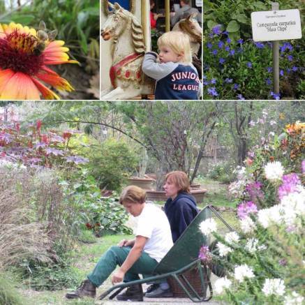 f:id:kaedetaniyoshi:20181015212429j:plain