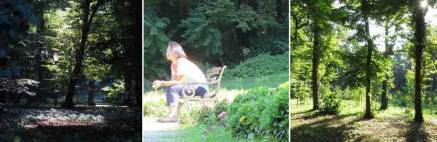 f:id:kaedetaniyoshi:20181015212432j:plain