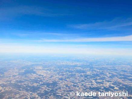 f:id:kaedetaniyoshi:20181016230458j:plain f:id:kaedetaniyoshi:20181016230458j:plain