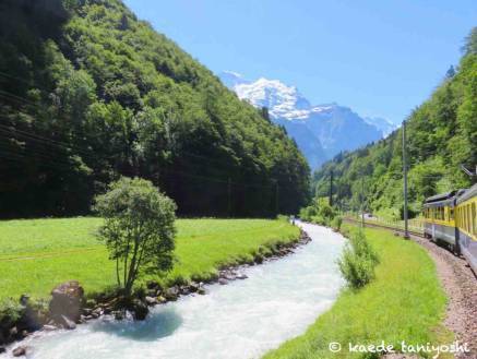 f:id:kaedetaniyoshi:20181020190630j:plain f:id:kaedetaniyoshi:20181020190630j:plain