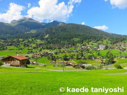 f:id:kaedetaniyoshi:20181020190721j:plain f:id:kaedetaniyoshi:20181020190721j:plain