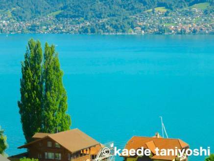 f:id:kaedetaniyoshi:20181020190725j:plain f:id:kaedetaniyoshi:20181020190725j:plain