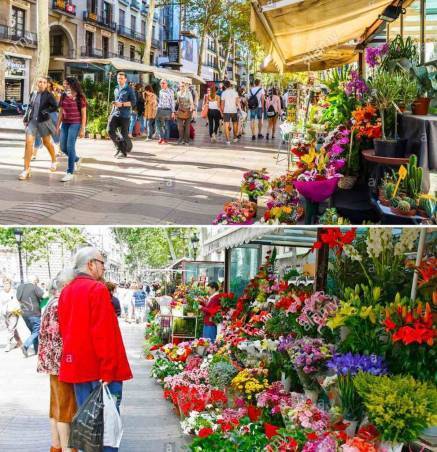 f:id:kaedetaniyoshi:20181103203036j:plain f:id:kaedetaniyoshi:20181103203036j:plain