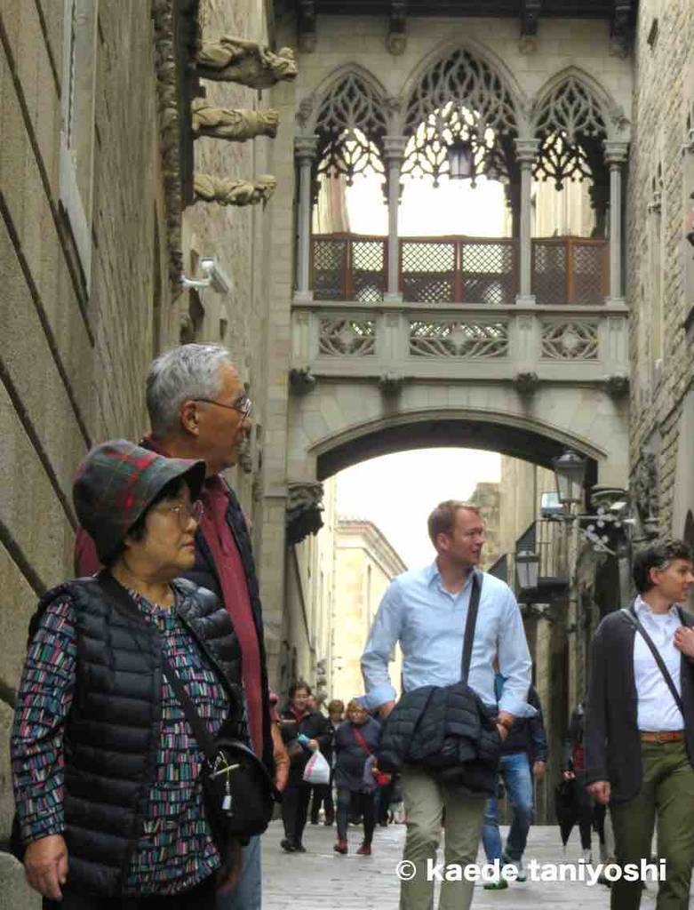 f:id:kaedetaniyoshi:20181205034820j:plain