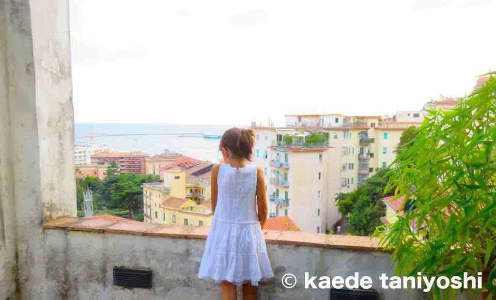 f:id:kaedetaniyoshi:20181215222812j:plain f:id:kaedetaniyoshi:20181215222812j:plain