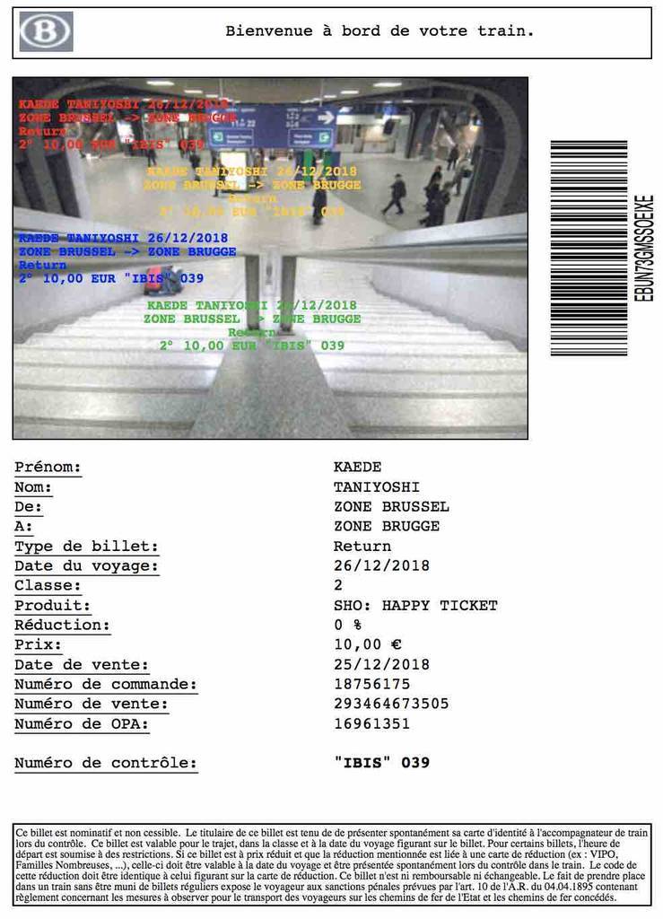 f:id:kaedetaniyoshi:20181231023551j:plain