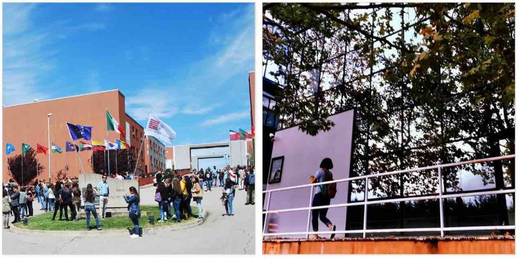 f:id:kaedetaniyoshi:20190112023301j:plain