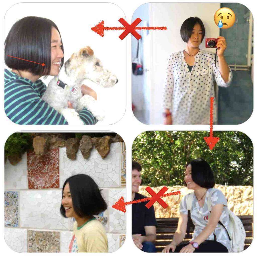 f:id:kaedetaniyoshi:20190120174726j:plain f:id:kaedetaniyoshi:20190120174726j:plain