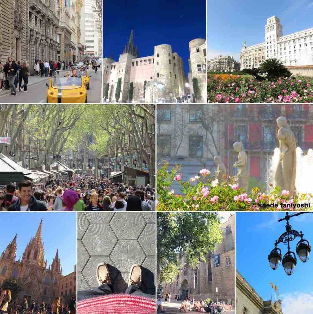 f:id:kaedetaniyoshi:20190222035218j:plain