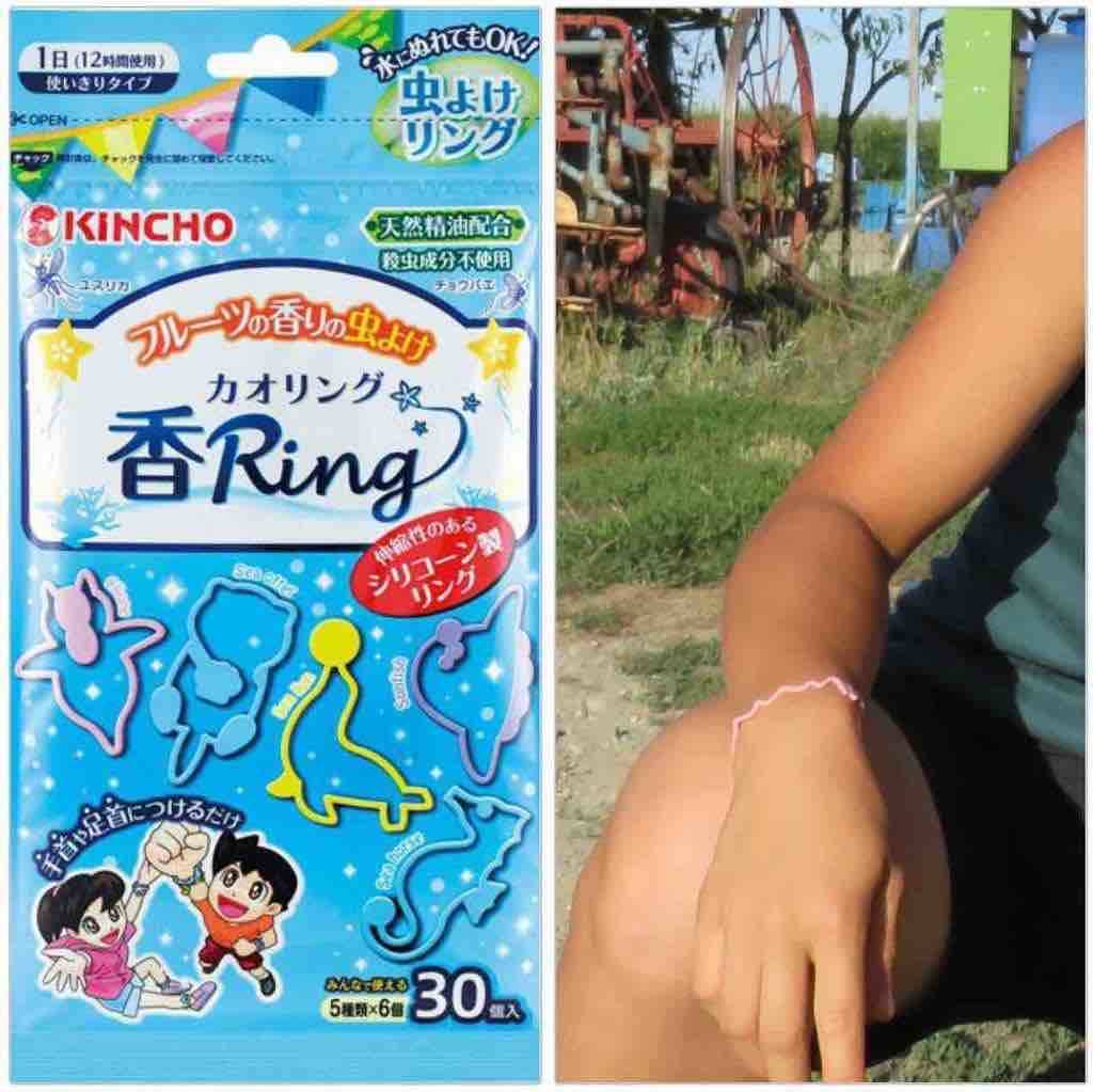 f:id:kaedetaniyoshi:20190311195805j:plain