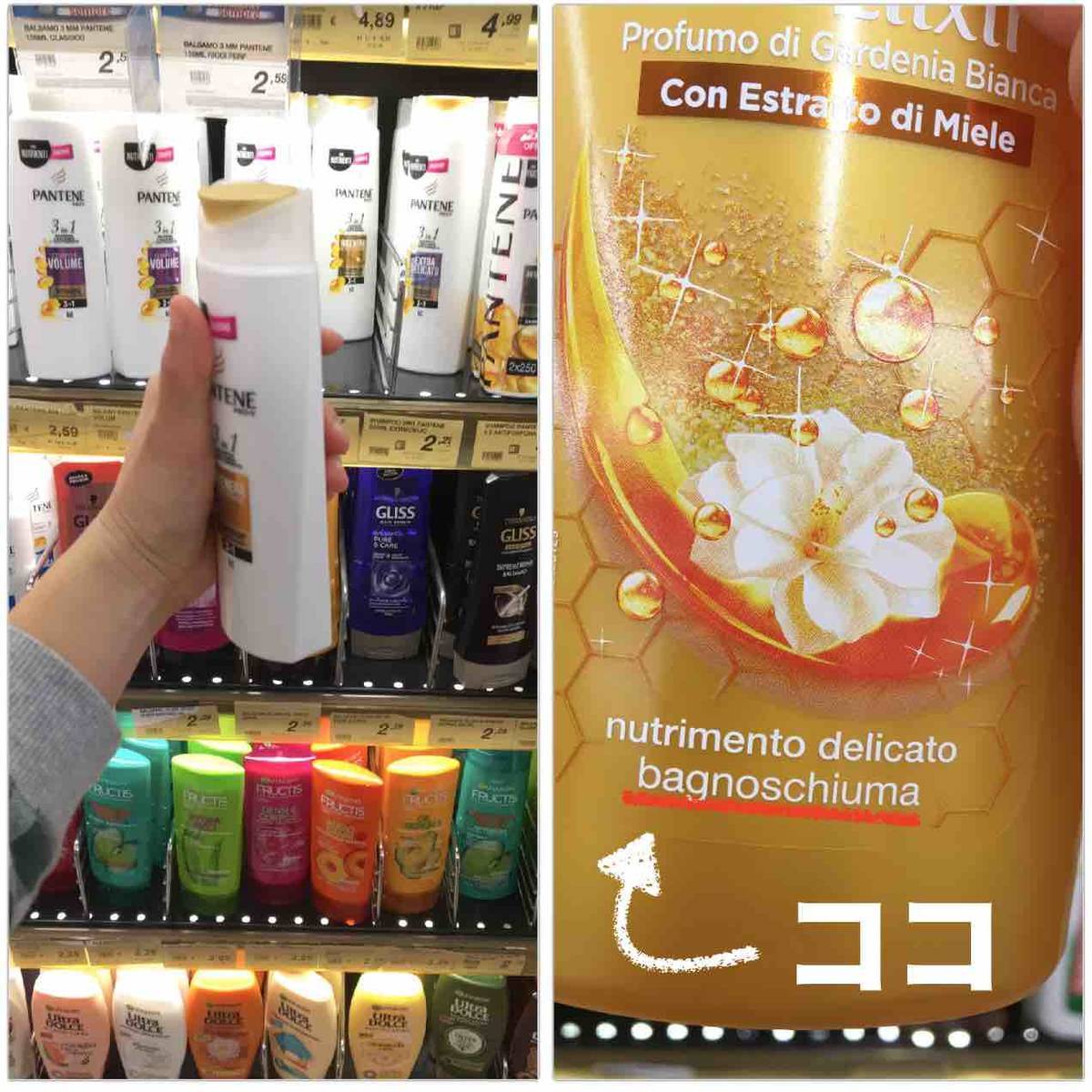 f:id:kaedetaniyoshi:20190316024124j:plain