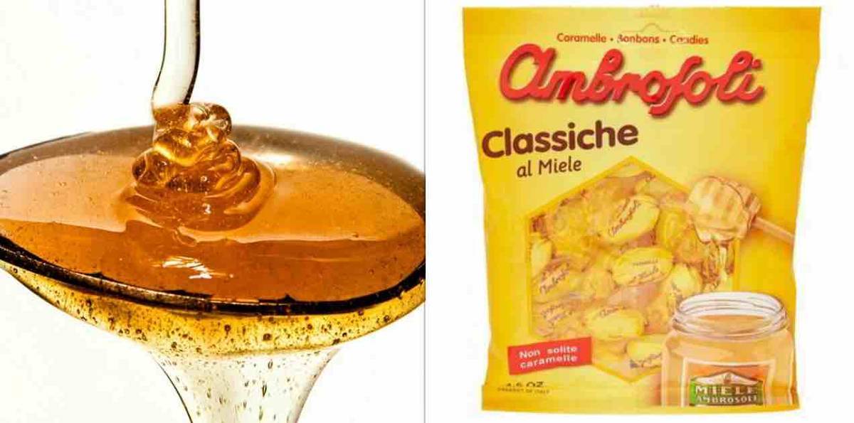 f:id:kaedetaniyoshi:20190316030547j:plain