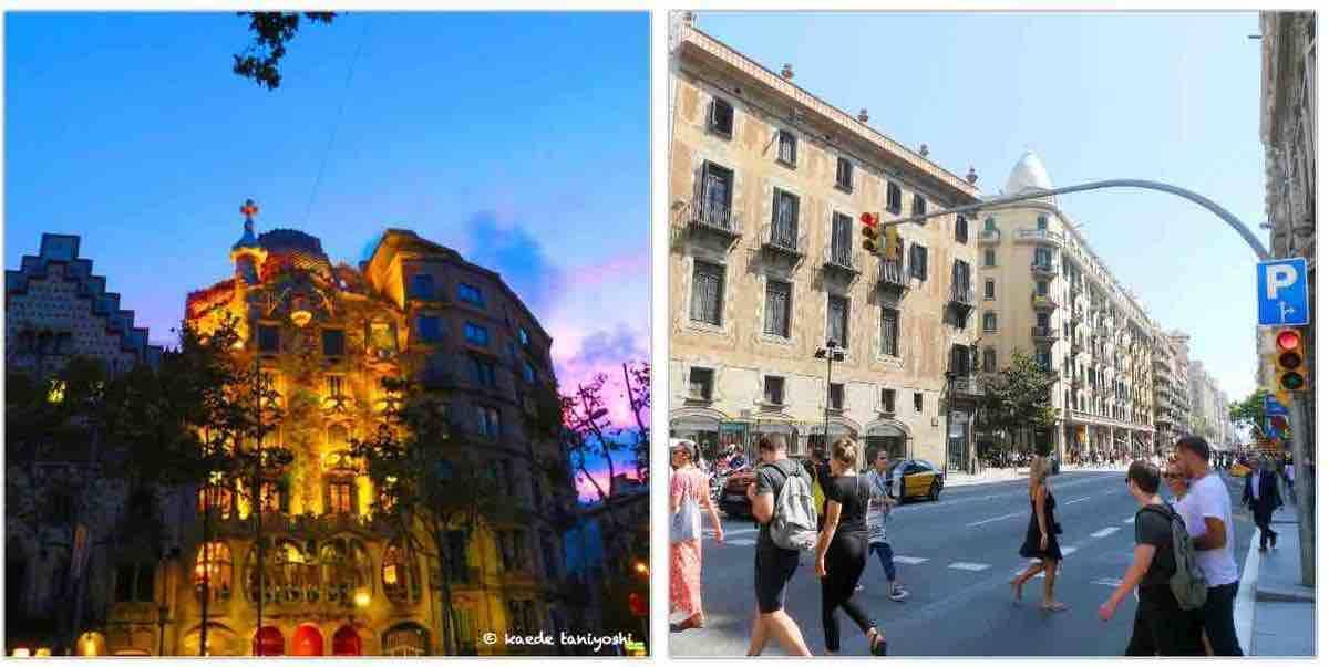 f:id:kaedetaniyoshi:20190411184317j:plain f:id:kaedetaniyoshi:20190411184317j:plain