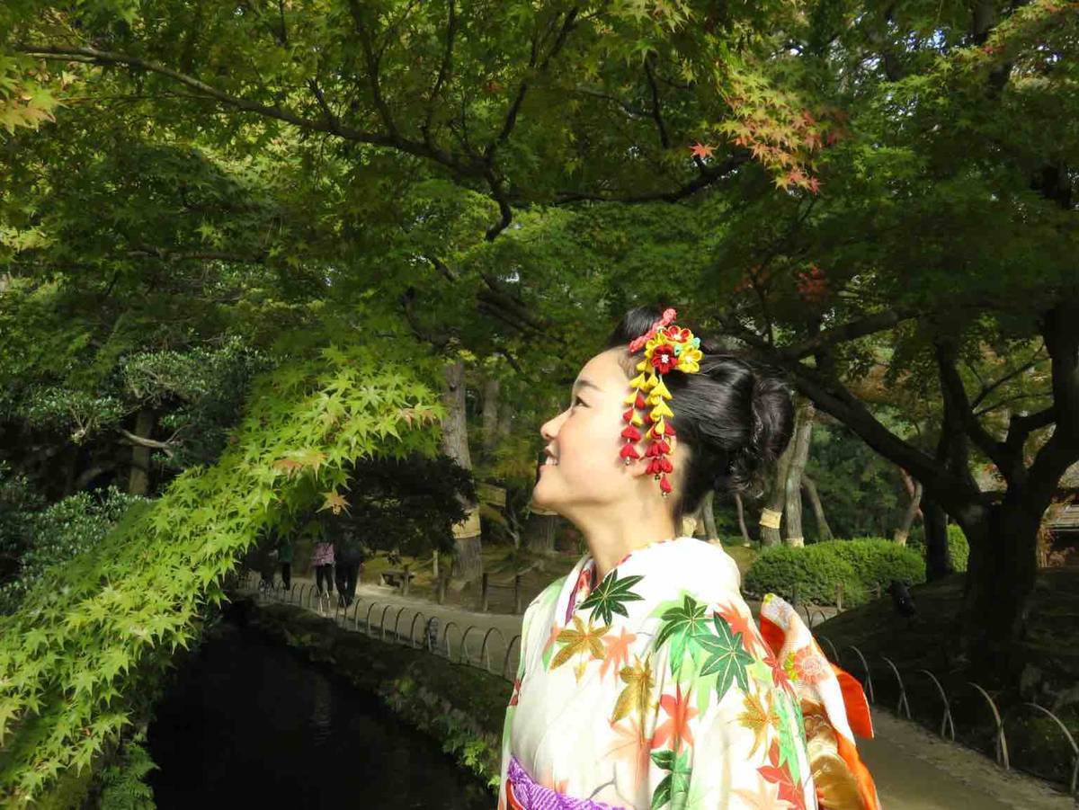 f:id:kaedetaniyoshi:20190511010534j:plain