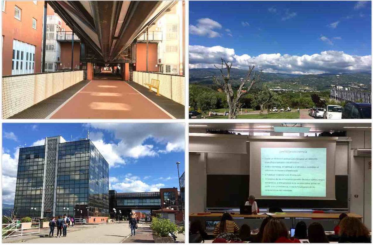 f:id:kaedetaniyoshi:20190518023021j:plain f:id:kaedetaniyoshi:20190518023021j:plain