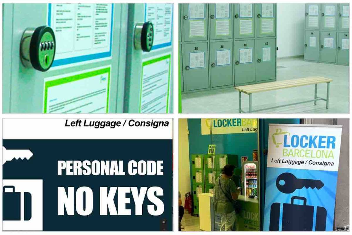 f:id:kaedetaniyoshi:20190607160141j:plain