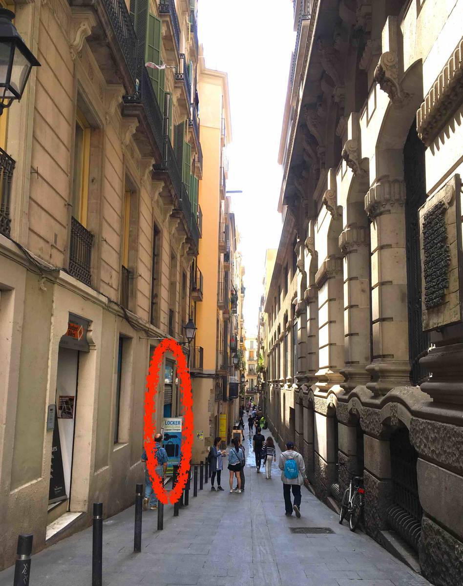 f:id:kaedetaniyoshi:20190607222048j:plain