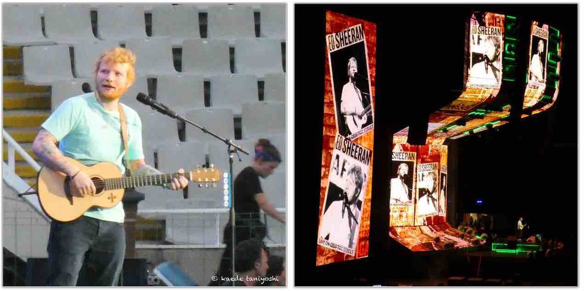 f:id:kaedetaniyoshi:20190609054726j:plain