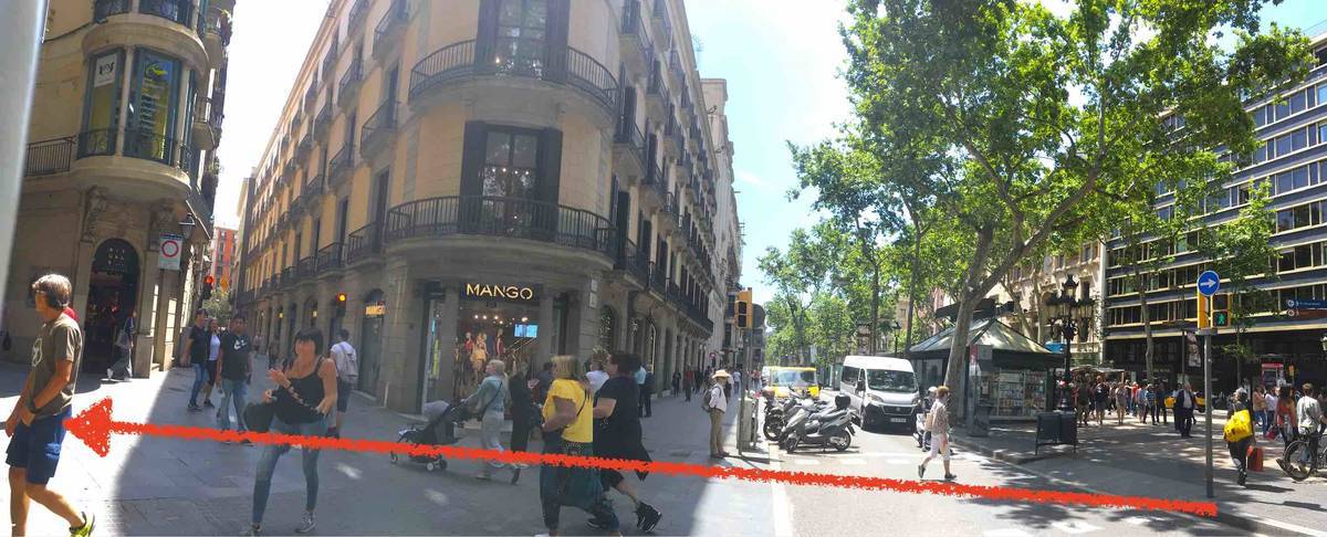 f:id:kaedetaniyoshi:20190703023805j:plain