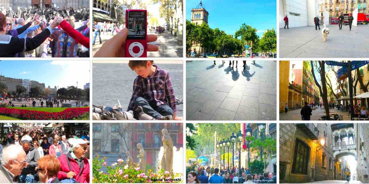 f:id:kaedetaniyoshi:20190920015148j:plain