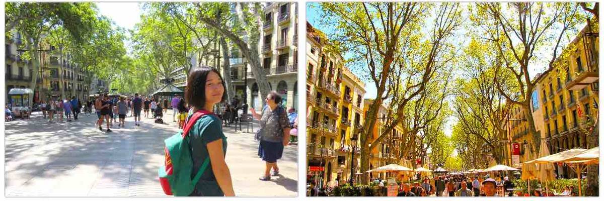 f:id:kaedetaniyoshi:20191003030446j:plain f:id:kaedetaniyoshi:20191003030446j:plain